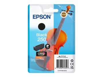 Cartouche d&rsquo;encre originale Epson 250 noire – C13T16N14010
