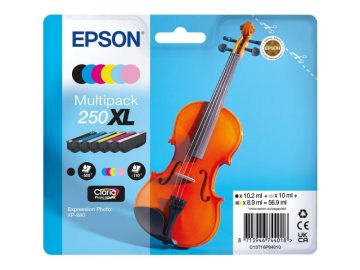 Epson 250XL 6 packs de cartouches d&rsquo;encre originales – C13T16P84010